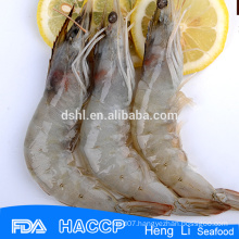 HL002 Frozen best price shrimp